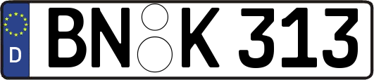 BN-K313