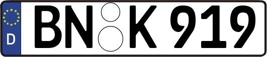 BN-K919