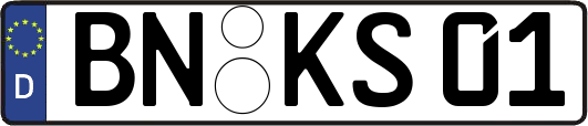 BN-KS01
