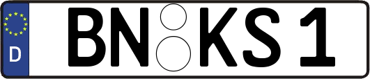 BN-KS1
