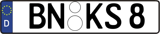 BN-KS8
