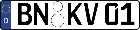 BN-KV01
