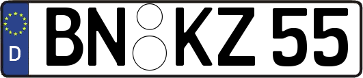 BN-KZ55