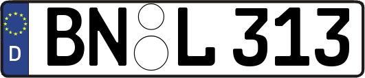 BN-L313