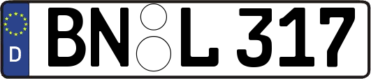 BN-L317