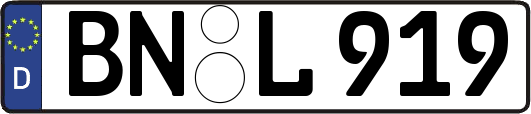 BN-L919
