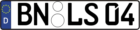BN-LS04