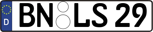 BN-LS29