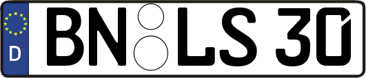 BN-LS30