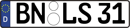 BN-LS31