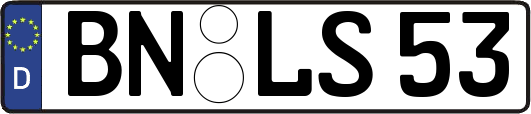 BN-LS53