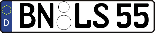 BN-LS55