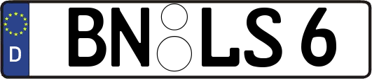 BN-LS6