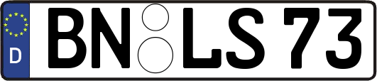 BN-LS73