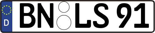 BN-LS91