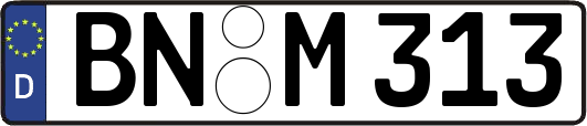 BN-M313