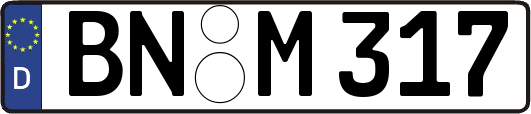 BN-M317