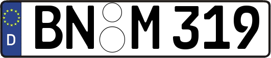 BN-M319