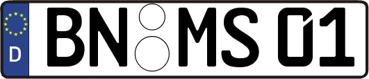BN-MS01