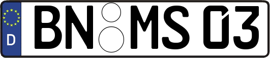 BN-MS03