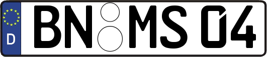 BN-MS04