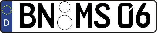 BN-MS06