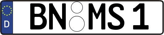BN-MS1
