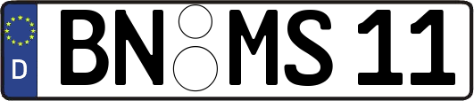 BN-MS11