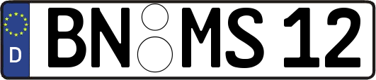 BN-MS12