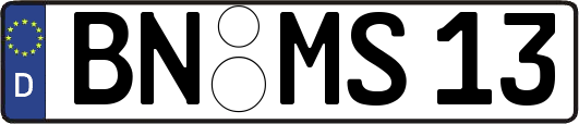 BN-MS13