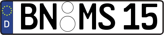 BN-MS15