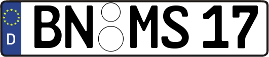BN-MS17