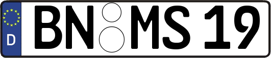 BN-MS19
