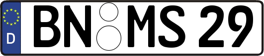 BN-MS29