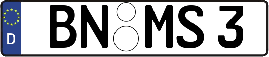 BN-MS3