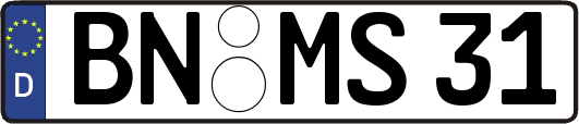 BN-MS31