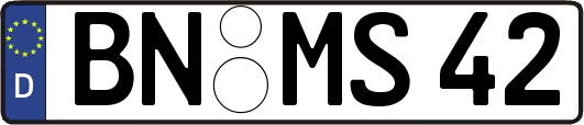 BN-MS42