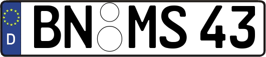 BN-MS43