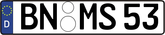 BN-MS53