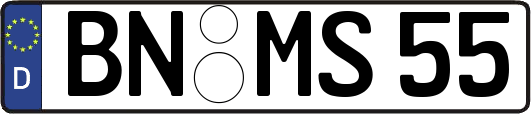 BN-MS55