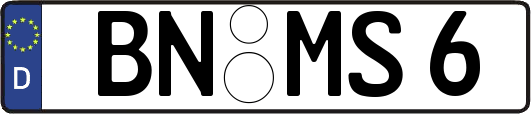 BN-MS6