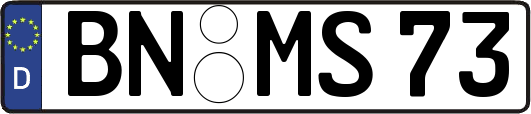BN-MS73
