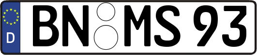 BN-MS93