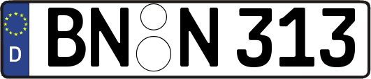 BN-N313