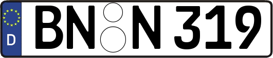 BN-N319