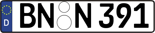 BN-N391