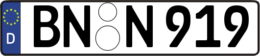 BN-N919