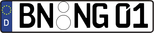 BN-NG01