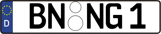 BN-NG1