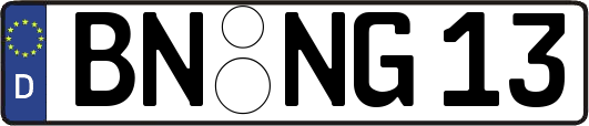 BN-NG13